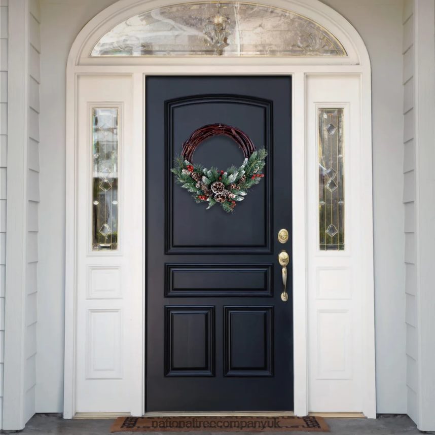 Greenery | National Tree Company Artificial Christmas Wreath Green Grapevine White Lights Decorated with Pine Cones Evergreen Branches Berry Clusters Christmas Collection 16 Inches F2L4F242